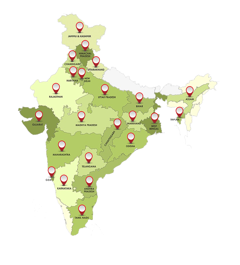 Fly Fast Packers and Movers